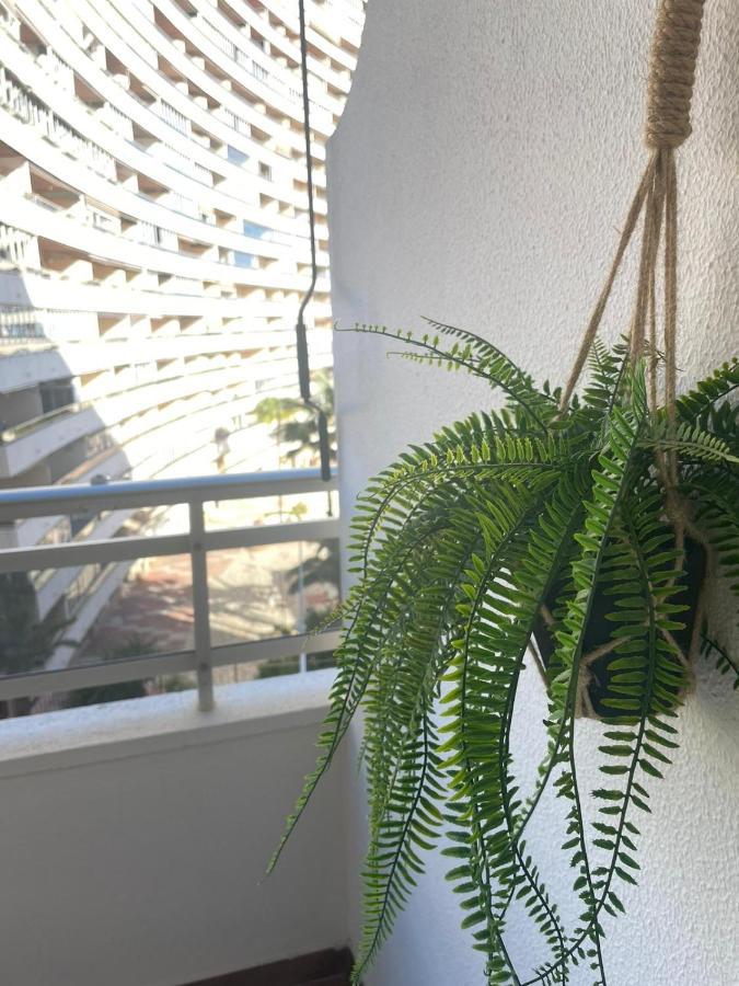 Vive El Mediterraneo - Apartamento Con Piscina En Cullera Zewnętrze zdjęcie